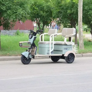 Triciclo Electrico De Pasaje Baja Electric and Solar Powered Cargo Tuk Tricycle Bike with Solar Panel for Adults Passenger Seat - detail 12