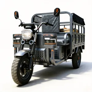 Battery Powered 72V 120ah Electric 3 Wheel Cargo Vehicle 2000W Heavy Duty Farm Delivery Electric Tricycle - detail 14