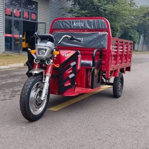 EEC Approved Fxaotu 3 Wheel Electric Cargo Tricycle Heavy Duty Electric Transport Tricycle for Africa & Europe Market