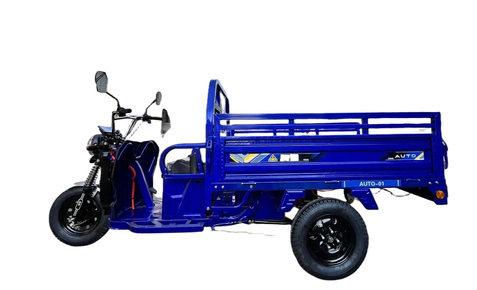 EEC Approved Fxaotu 3 Wheel Electric Cargo Tricycle Heavy Duty Electric Transport Tricycle for Africa & Europe Market - detail 4