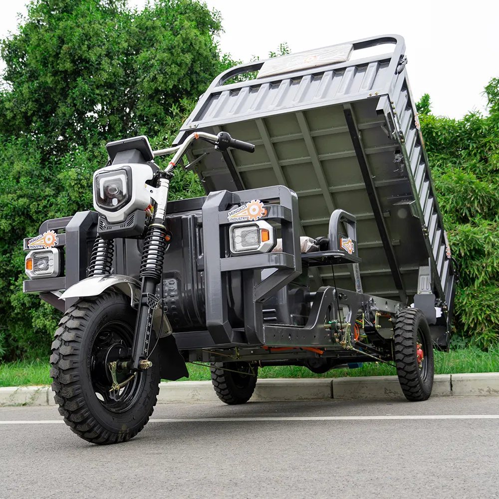 China Manufactured Cargo Dump Electric Three-Wheel Tricycle for Construction & Transport - detail 1