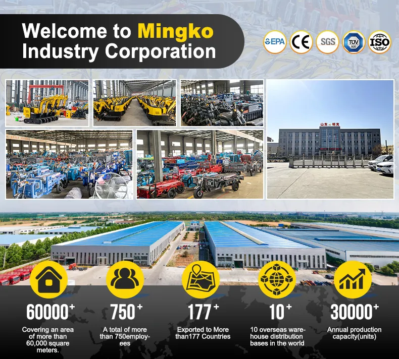 China Manufactured Cargo Dump Electric Three-Wheel Tricycle for Construction & Transport - detail 3