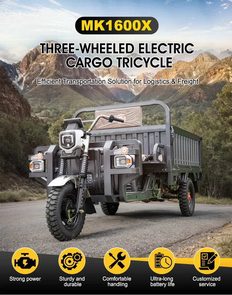 China Manufactured Cargo Dump Electric Three-Wheel Tricycle for Construction & Transport - detail 4