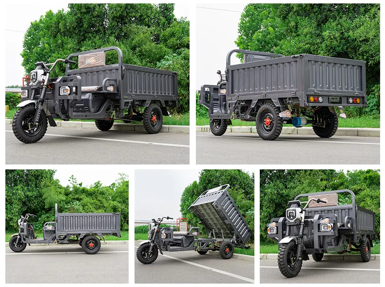 China Manufactured Cargo Dump Electric Three-Wheel Tricycle for Construction & Transport - detail 5