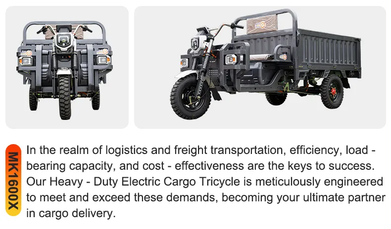 China Manufactured Cargo Dump Electric Three-Wheel Tricycle for Construction & Transport - detail 7
