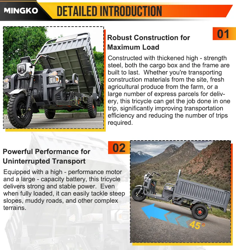 China Manufactured Cargo Dump Electric Three-Wheel Tricycle for Construction & Transport - detail 10