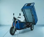 Lightweight Electric Cargo Tricycle for Easy Maneuverability and Transport - detail 1