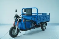 Lightweight Electric Cargo Tricycle for Easy Maneuverability and Transport - detail 3