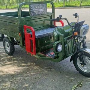 Electric Tricycle 3 Wheel Motorcycle for Cargo From Sdlanch