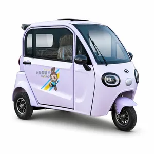 Low Carbon Footprint Eco Conscious Business Choice Trike Wx1000dzh-30 Electric Cargo Tricycle - detail 17