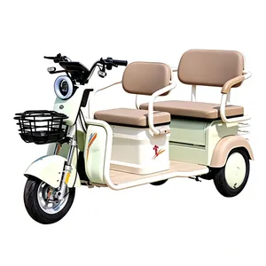 Low Carbon Footprint Eco Conscious Business Choice Trike Wx1000dzh-30 Electric Cargo Tricycle - detail 18