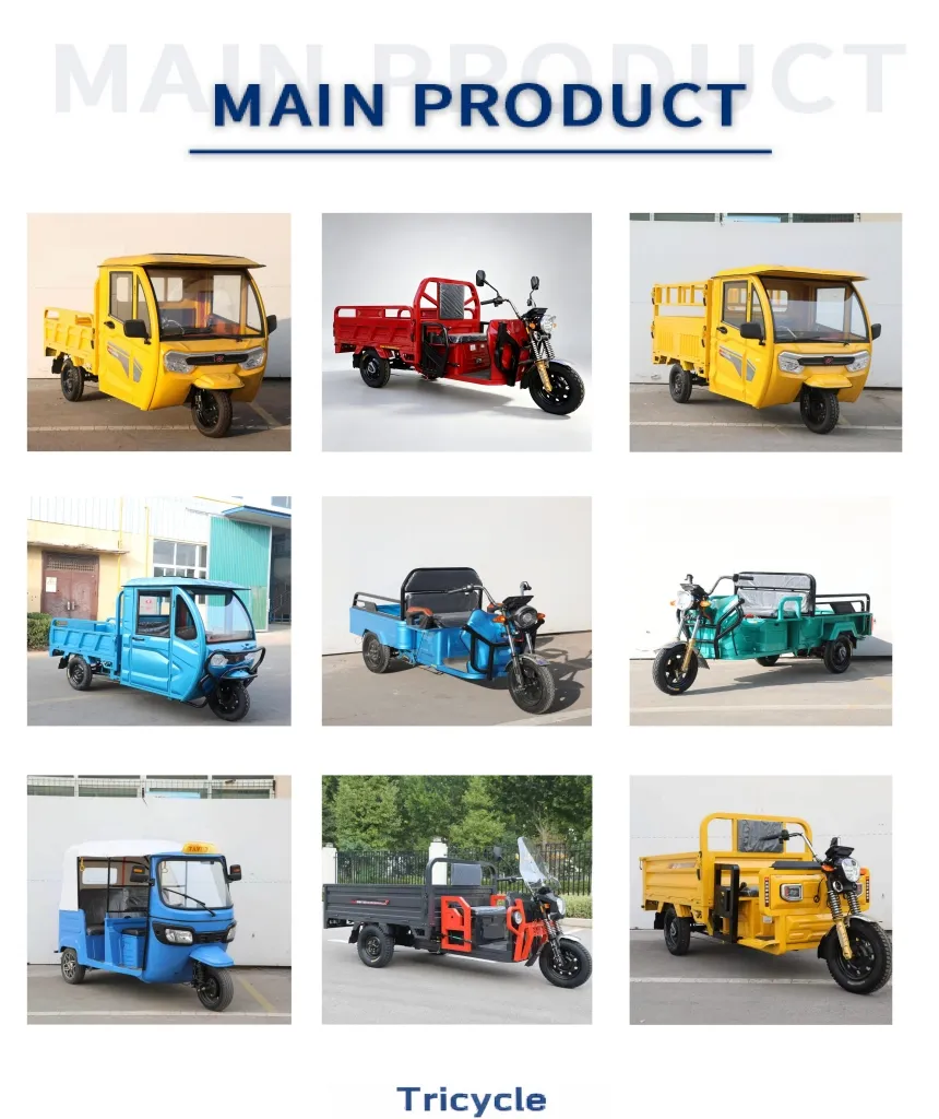 Electric Dump Cargo Tricycle with Solid Steel Box for Agricultural Farm Material Hauling Jobs - detail 2