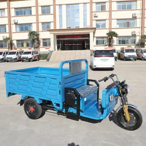 Electric Dump Cargo Tricycle with Solid Steel Box for Agricultural Farm Material Hauling Jobs - detail 18