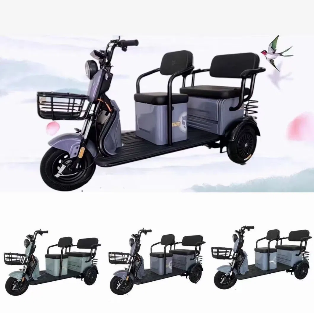 Open Type Leisure Electric Tricycle for Cargo/Passenger with Two Rows of Seats - detail 2