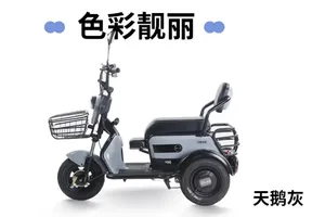 Open Type Leisure Electric Tricycle for Cargo/Passenger with Two Rows of Seats - detail 14