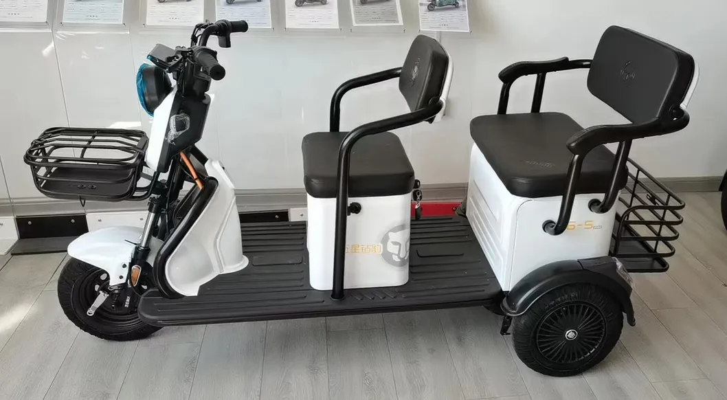 Open Type Leisure Electric Tricycle for Cargo/Passenger with Two Rows of Seats - detail 5