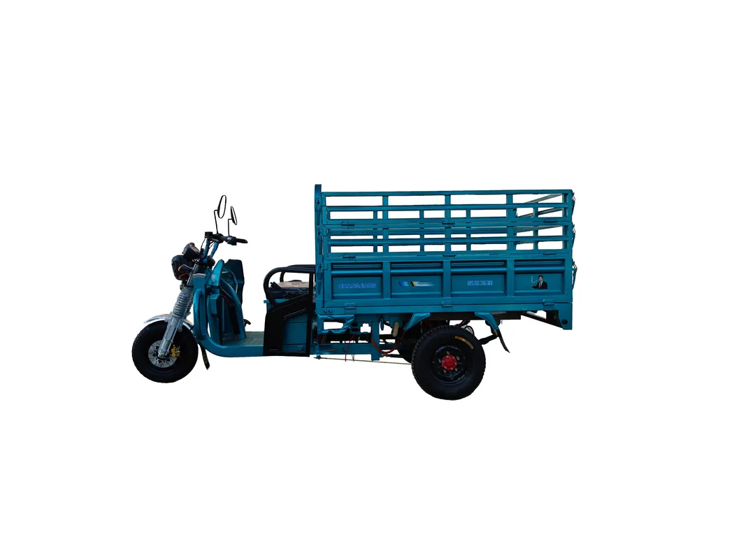 Hot Selling 60V1200W Electric Three Wheeler 1000kg Loading Capacity Cargo Tricycle - detail 2