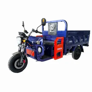 Hot Selling 60V1200W Electric Three Wheeler 1000kg Loading Capacity Cargo Tricycle - detail 20