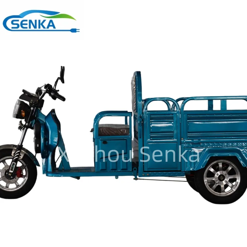 Electric Tricycle Export Quality Factory Direct Electric Tricycle for Commercial Cargo Delivery - detail 1