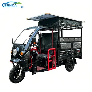 Fully Enclosed Cab Two-Door Two-Seat Electric Tricycle Equipped Cargo Freight - detail 14