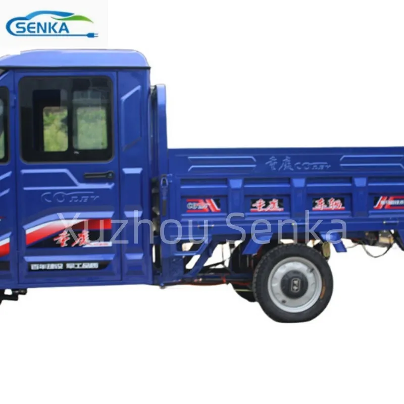 Fully Enclosed Cab Two-Door Two-Seat Electric Tricycle Equipped Cargo Freight - detail 7