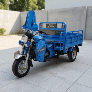 72V120ah 1800W Electric Three Wheeler Heavy Duty Cargo Tricycle 3 Wheel Farm Transport Goods Delivery Electric Trike