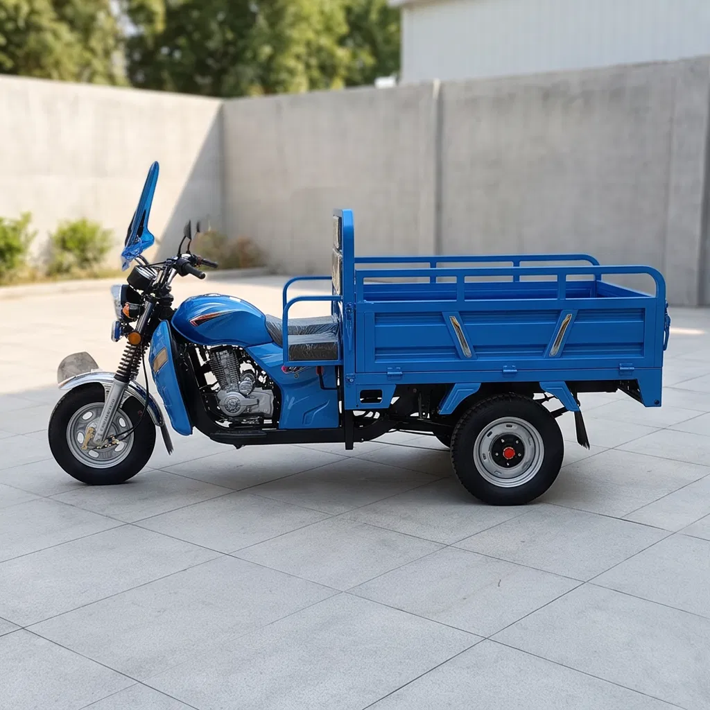 72V120ah 1800W Electric Three Wheeler Heavy Duty Cargo Tricycle 3 Wheel Farm Transport Goods Delivery Electric Trike - Image 3