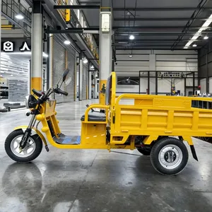 72V120ah 1800W Electric Three Wheeler Heavy Duty Cargo Tricycle 3 Wheel Farm Transport Goods Delivery Electric Trike - detail 19