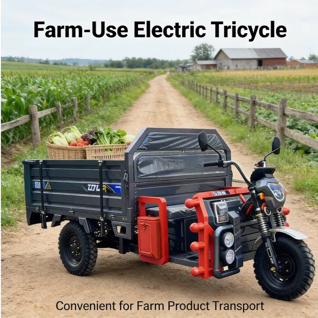 Versatile Electric Cargo Tricycle for Efficient City Deliveries - detail 2