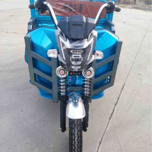 China Supplying Factory Price Electric Tricycle 650W New Energy Resources Three Wheel Vehicle Electric Loader High Quality for Cargo Basic Customization