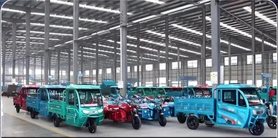 China Supplying Factory Price Electric Tricycle 650W New Energy Resources Three Wheel Vehicle Electric Loader High Quality for Cargo Basic Customization - detail 16