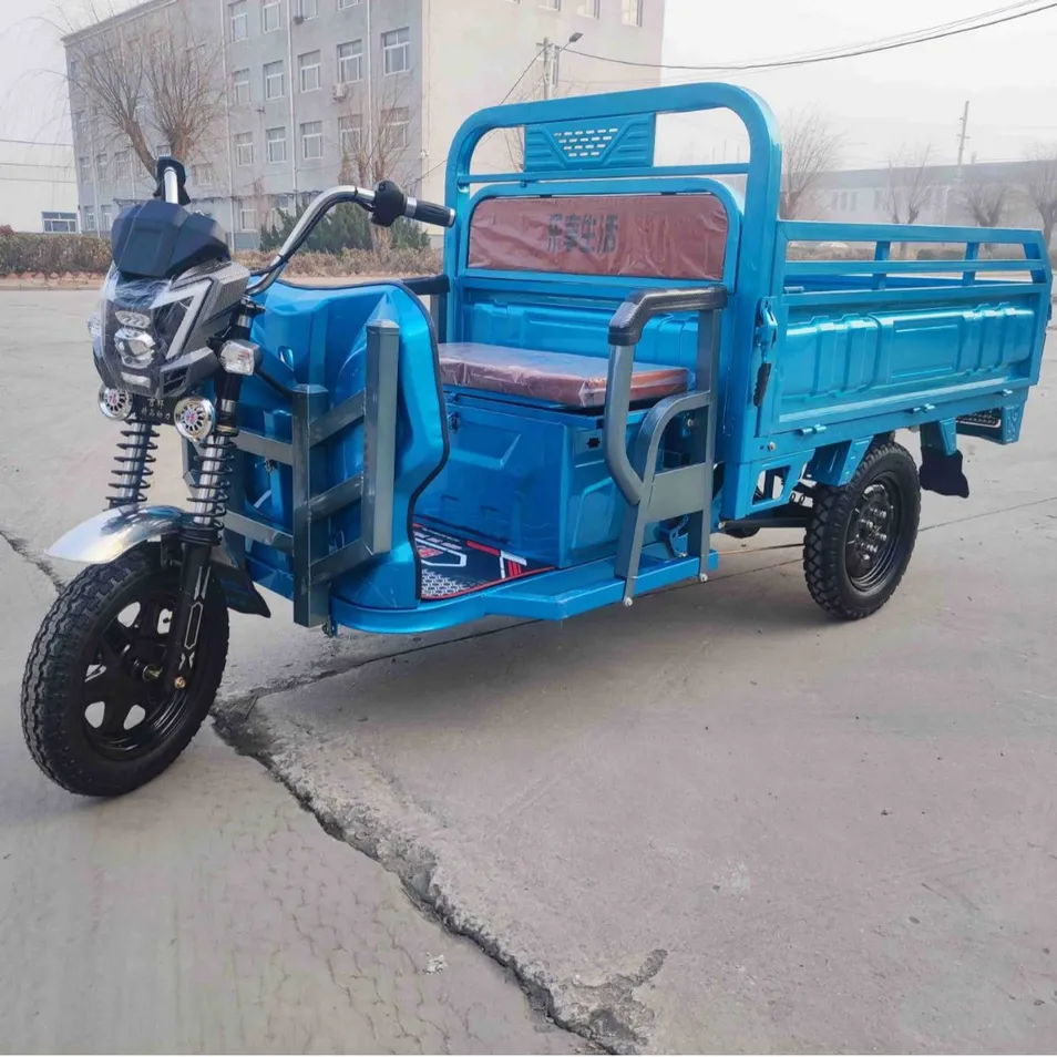 China Supplying Factory Price Electric Tricycle 650W New Energy Resources Three Wheel Vehicle Electric Loader High Quality for Cargo Basic Customization - detail 3