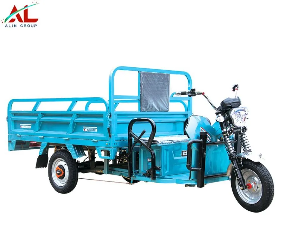 Alin Electric Freight Tricycle for Sale 3 Wheel Mini Cargo Van - detail 1