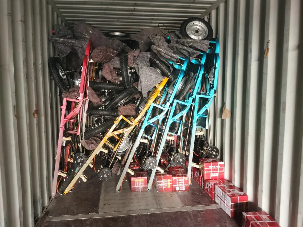 Alin Electric Freight Tricycle for Sale 3 Wheel Mini Cargo Van - detail 16