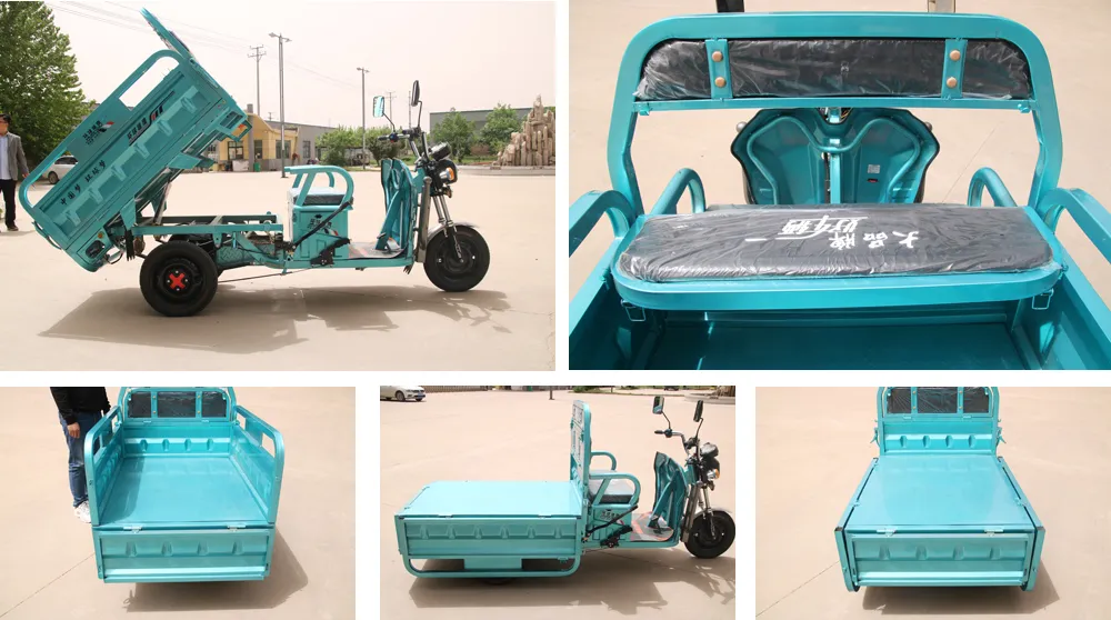 Alin Electric Freight Tricycle for Sale 3 Wheel Mini Cargo Van - detail 5