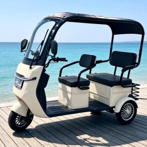 Spacious Cargo Space Waterproof Rural Daily Haul Transport Electric Tricycle