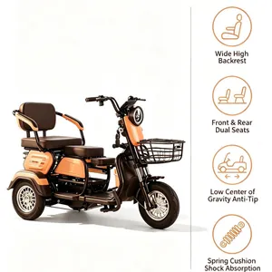 Spacious Cargo Space Waterproof Rural Daily Haul Transport Electric Tricycle - detail 16