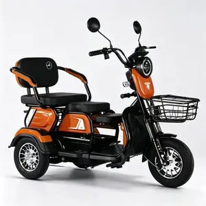 Spacious Cargo Space Waterproof Rural Daily Haul Transport Electric Tricycle - detail 19