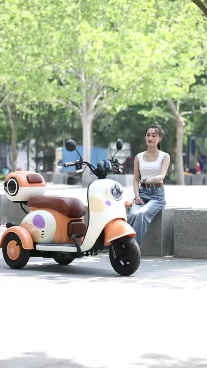 High-Quality Adult Battery-Powered Electric Tricycle Cargo - detail 15