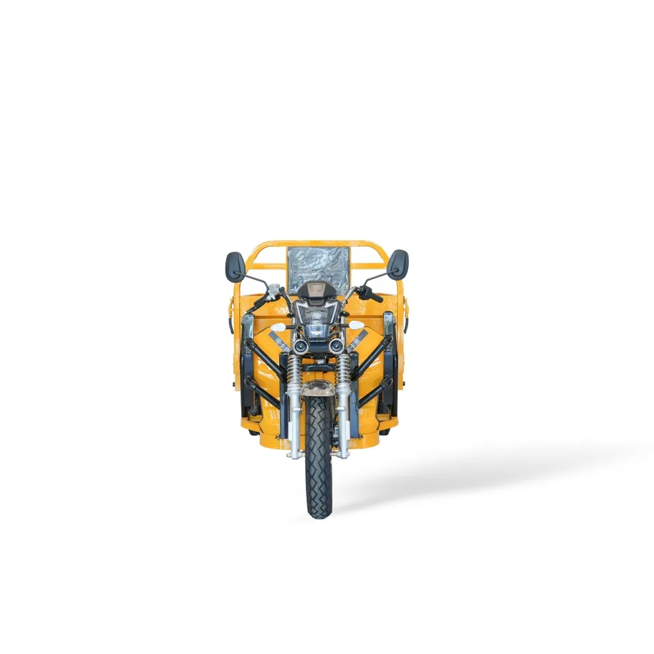 25km/H High Speed 70-100km Cargo 3 Weels Electric Tricycle - detail 2