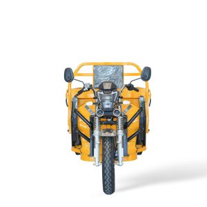 Spacious 3 Wheel Electric Tricycle with Large Cargo Box Dimensions