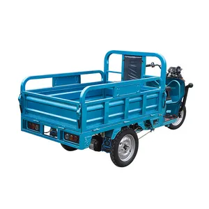 Custom Semi Closed Adult Heavy Duty Farm Cargo Electric Closed Tricycle Load - detail 17