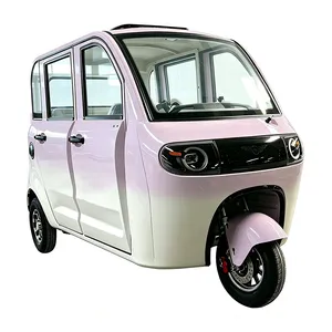 Custom Semi Closed Adult Heavy Duty Farm Cargo Electric Closed Tricycle Load - detail 19