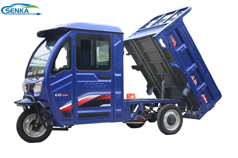 Senka 2024 New Type Electric Cargo Tricycle with Cabin Tuk Tuk for Delivery