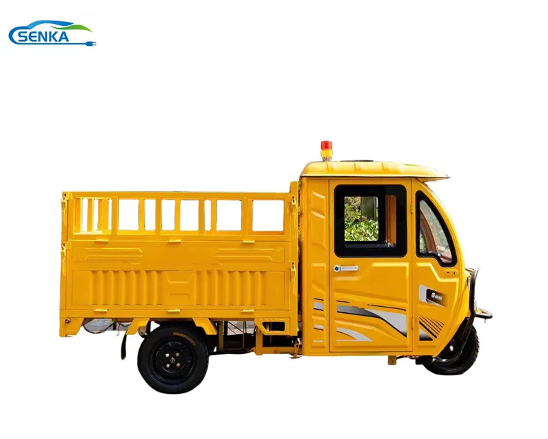 Senka 2024 New Type Electric Cargo Tricycle with Cabin Tuk Tuk for Delivery - detail 2