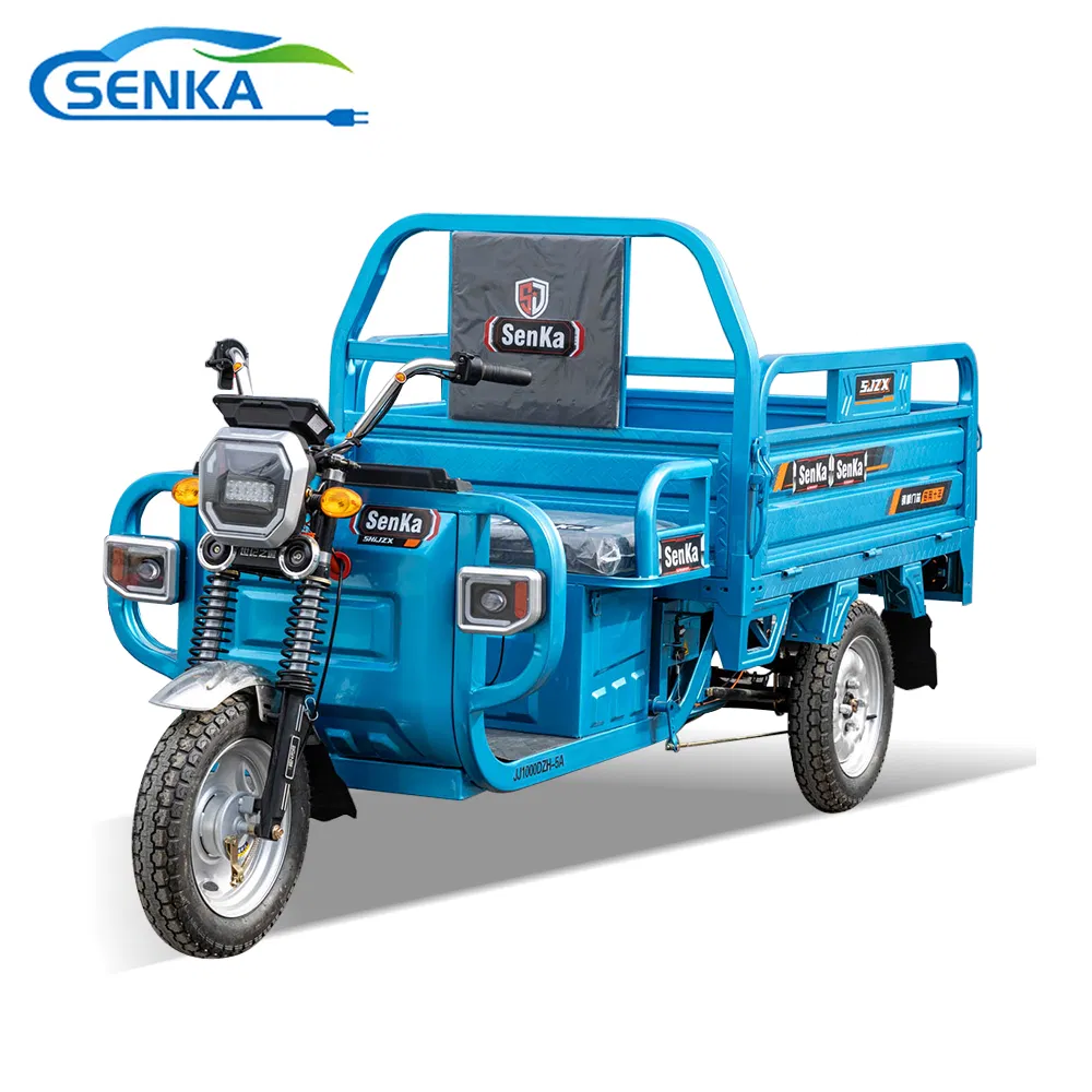 Senka 1500W Motor 1 Ton Heavy Loading 1.8m Large Size Motorcycle 3 Three Wheel Cheap Cargo Electric Tricycle - Image 2