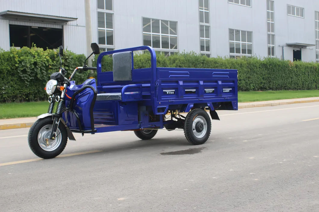 Senka 1500W Motor 1 Ton Heavy Loading 1.8m Large Size Motorcycle 3 Three Wheel Cheap Cargo Electric Tricycle - detail 1
