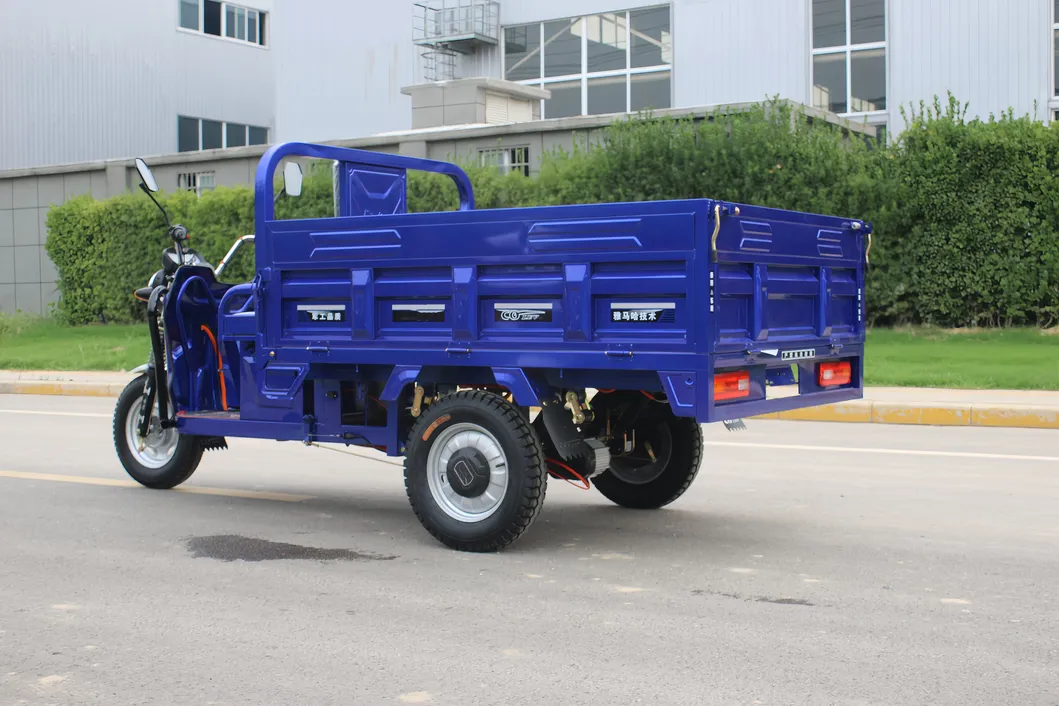 Senka 1500W Motor 1 Ton Heavy Loading 1.8m Large Size Motorcycle 3 Three Wheel Cheap Cargo Electric Tricycle - detail 2