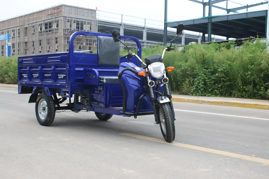 Senka 1500W Motor 1 Ton Heavy Loading 1.8m Large Size Motorcycle 3 Three Wheel Cheap Cargo Electric Tricycle - detail 3