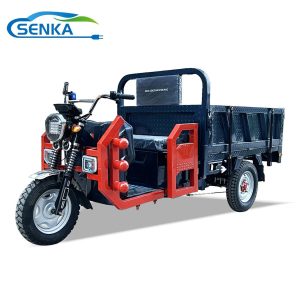 Senka Factory OEM Truck Cargo Trike Strong Climbing Ability Three Wheel Electric Solar Tricycle for Sale